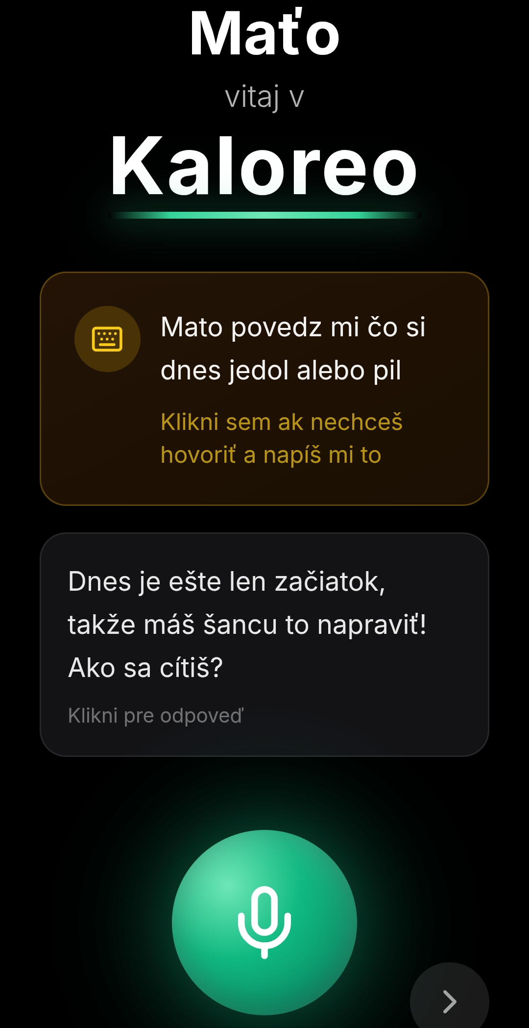 Virtuální Kamarád